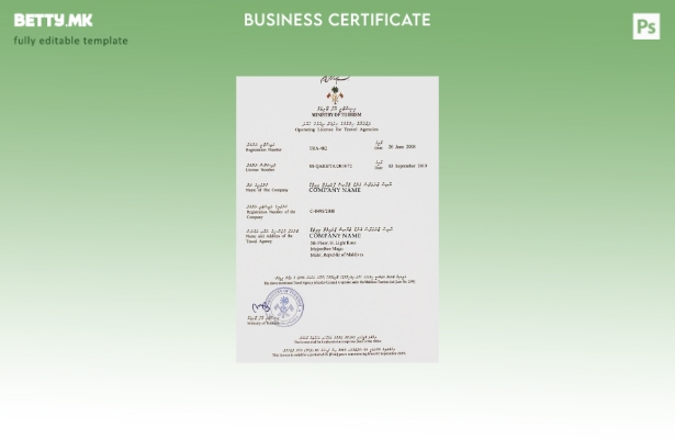 модерен стил Шаблон за лиценца за работа на Малдиви за туристички агенции